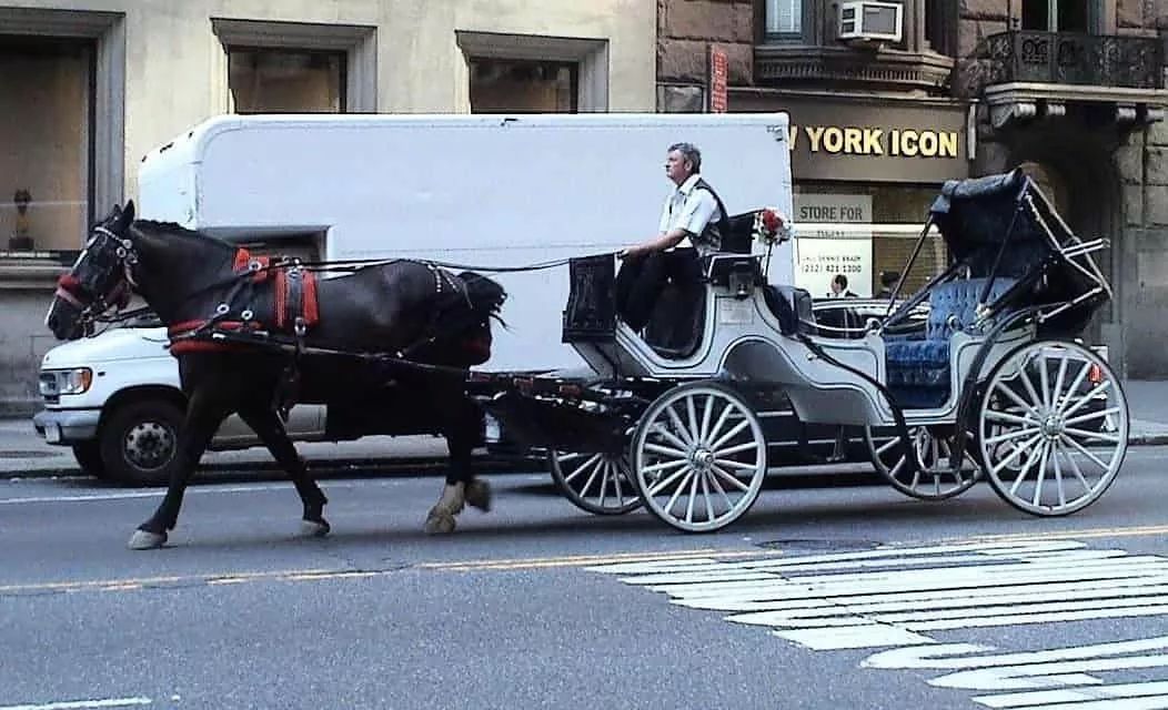 在过圣诞这件事上,明星们比你认真多了