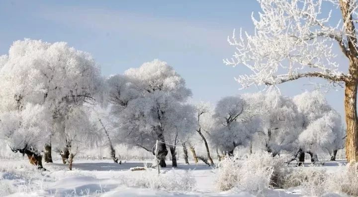 大雪飘飘朗读,大雪飘飘白皑皑