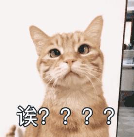 新闻快递送上门,新闻调查免费送餐