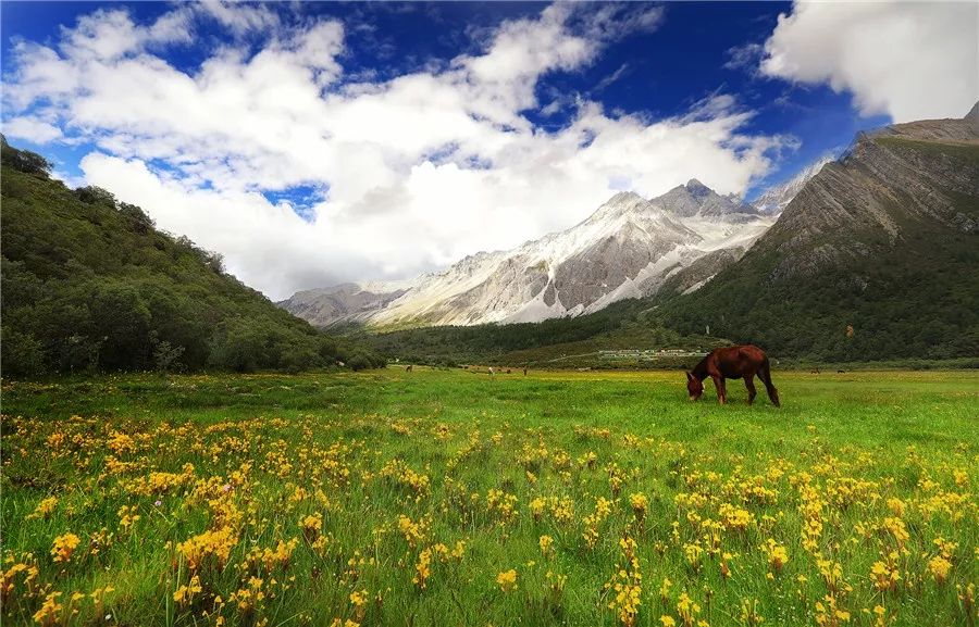 四川省稻城亚丁风景区旅游攻略,稻城亚丁旅游攻略文档