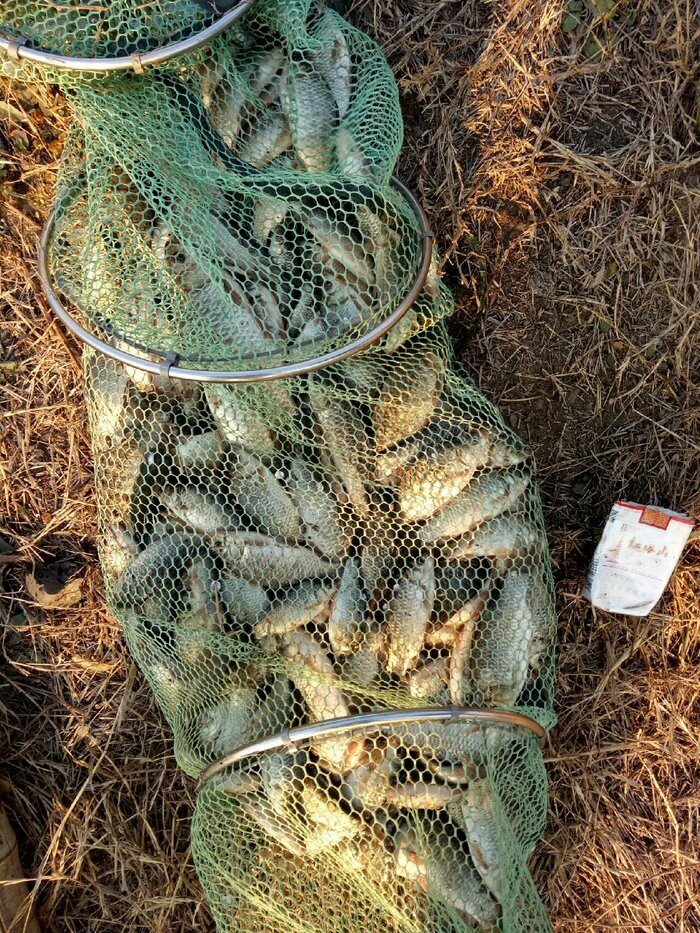 野钓装备大全,野钓装备有哪些