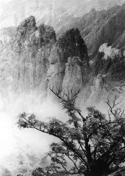 被摄影师抓拍的奇观,被摄影