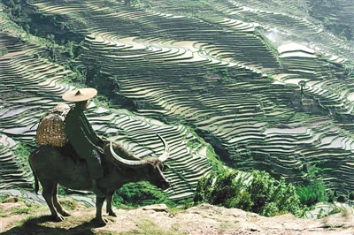 被摄影师抓拍的奇观,被摄影