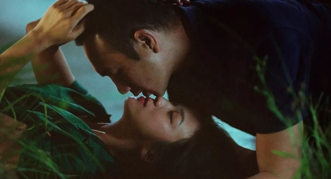 胡歌雷佳音对比,胡歌雷佳音最新电影