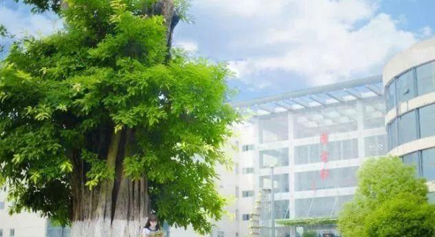 中国校名最长的大学,中国建校时间最长的大学