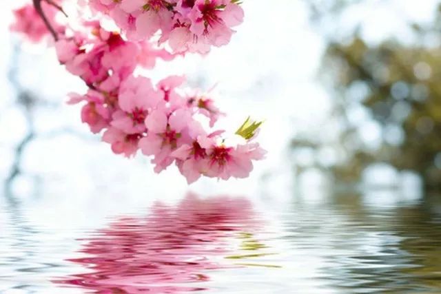 哪里泡天然温泉,泡个不一样的天然温泉