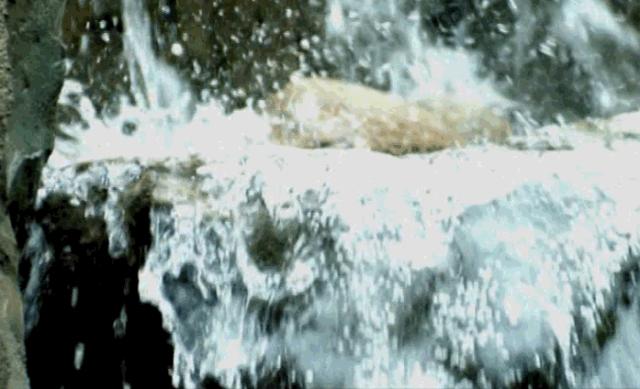 哪里泡天然温泉,泡个不一样的天然温泉