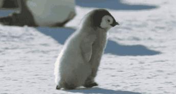 为什么会发呆走神呢,莫名其妙走神严重