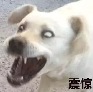 福建人被诈骗的多吗,福建人诈骗犯多不