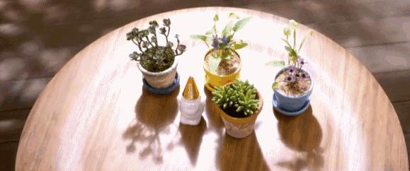 开心幽默小短句,幽默小短句哈哈一笑烦恼全消