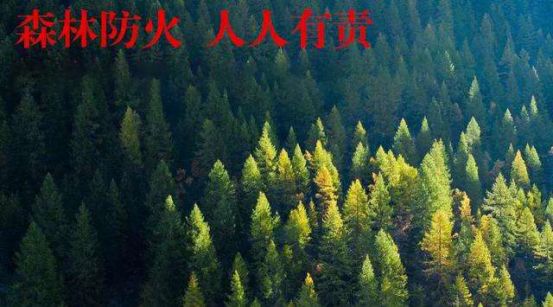 新城轨本月开通！中山人去珠海长隆和澳门将更方便|中山一周