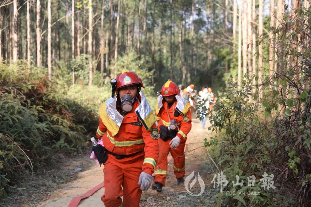 守护最美逆行者,坚守岗位做最美逆行者