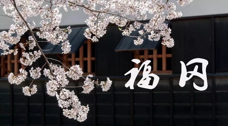 日本自由行住宿哪里合适,日本自由行住哪个酒店最好