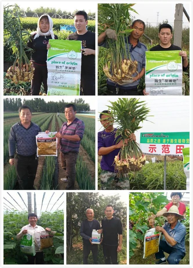 打造海洋生物肥（生态肥）领军品牌，瀚生植物营养这样布局未来