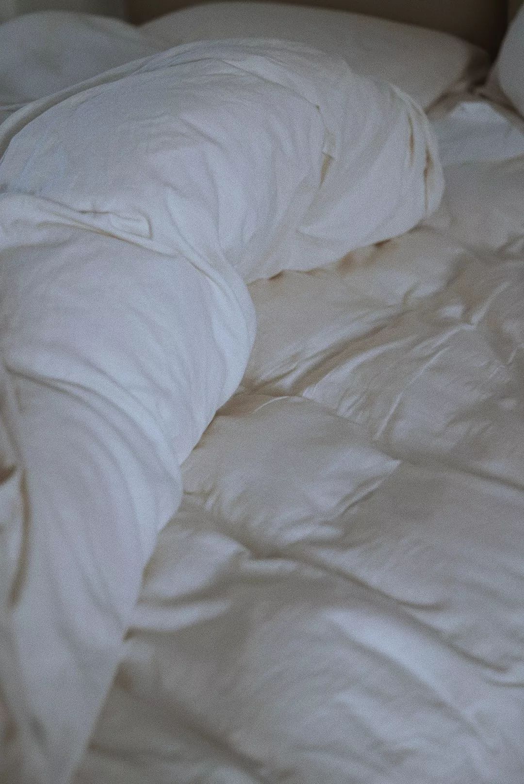 HomewithSS|我也想睡在云上呀