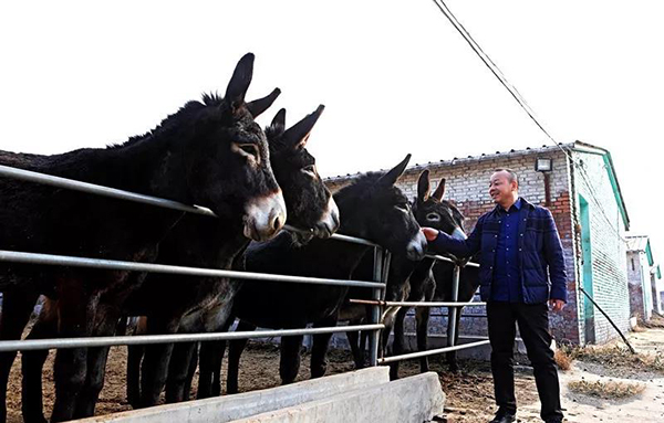 街道乡村振兴工作总结,守初心担使命助力乡村振兴范文