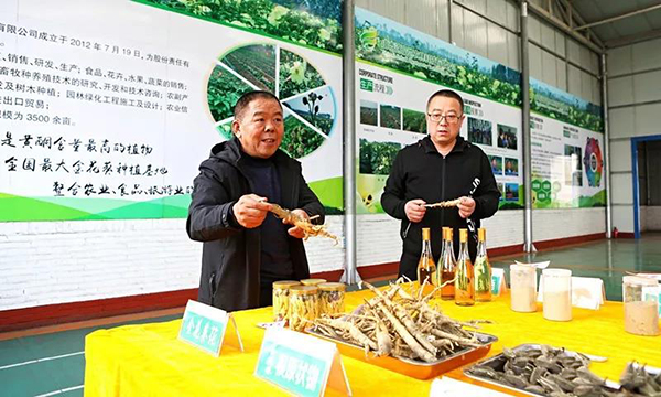 街道乡村振兴工作总结,守初心担使命助力乡村振兴范文