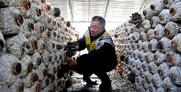 街道乡村振兴工作总结,守初心担使命助力乡村振兴范文