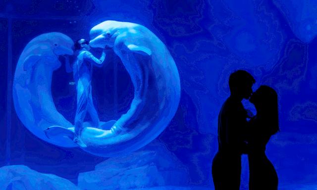 上海旅游年票哪里买最便宜,上海景点年票购买攻略