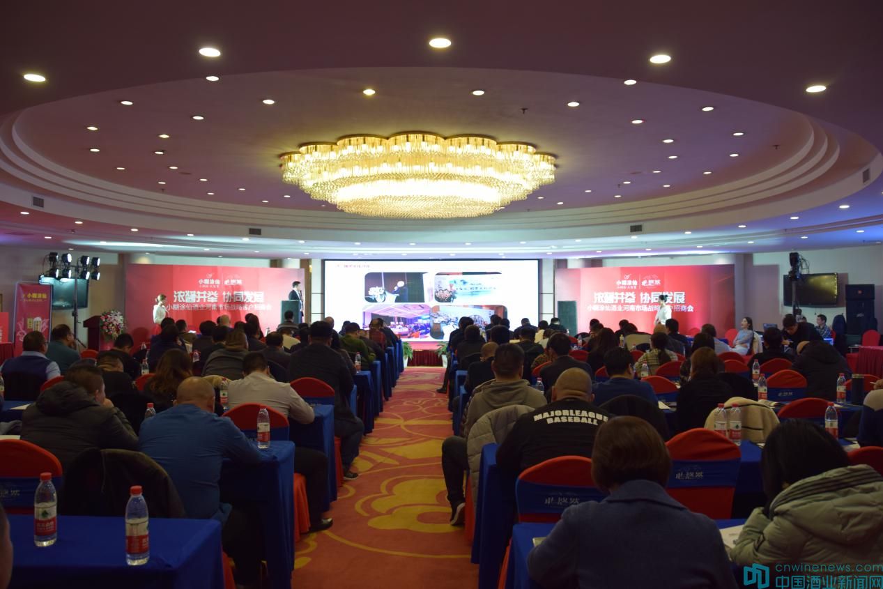 小糊涂仙心悠然尊享,小糊涂仙心悠然实际价格