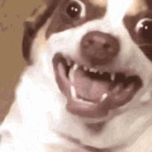 3岁儿童鼻塞20秒自愈方法,小孩3岁一打喷嚏就有好多鼻涕