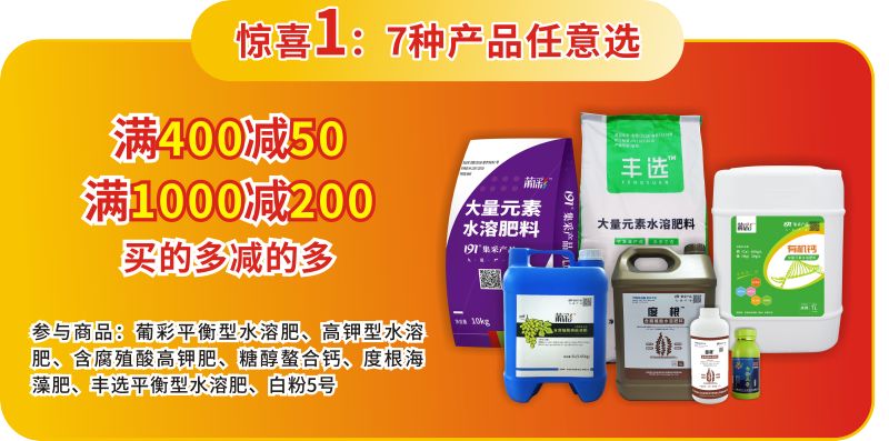 双十二惊喜来袭,双十二惊喜直降