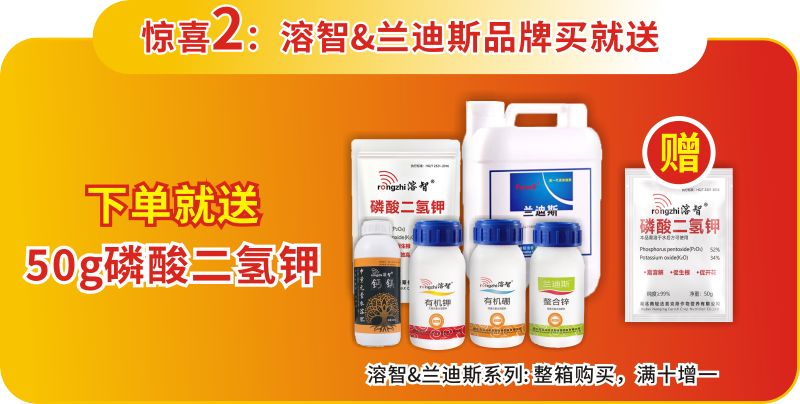 双十二惊喜来袭,双十二惊喜直降