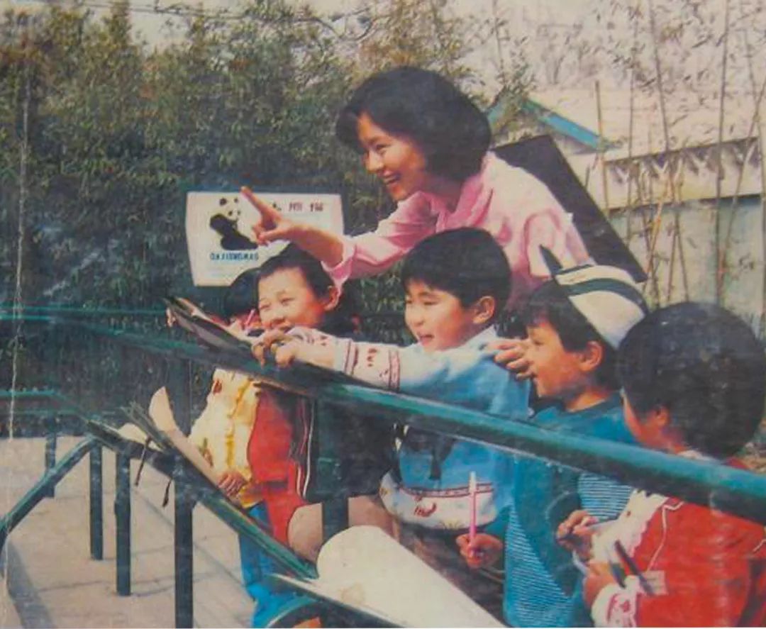 鞠萍姐姐年轻时候,鞠萍姐姐年轻的时候长什么样子