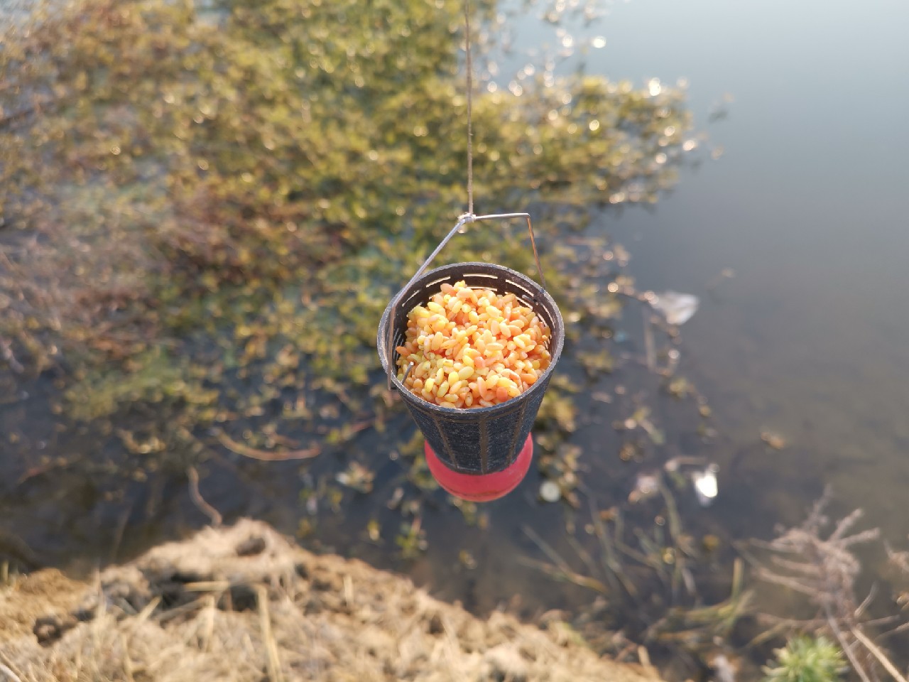 全国各地特色钓法介绍,全国各地钓鱼技巧