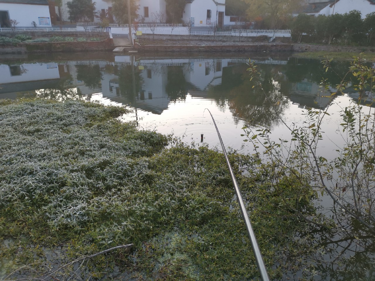 全国各地特色钓法介绍,全国各地钓鱼技巧