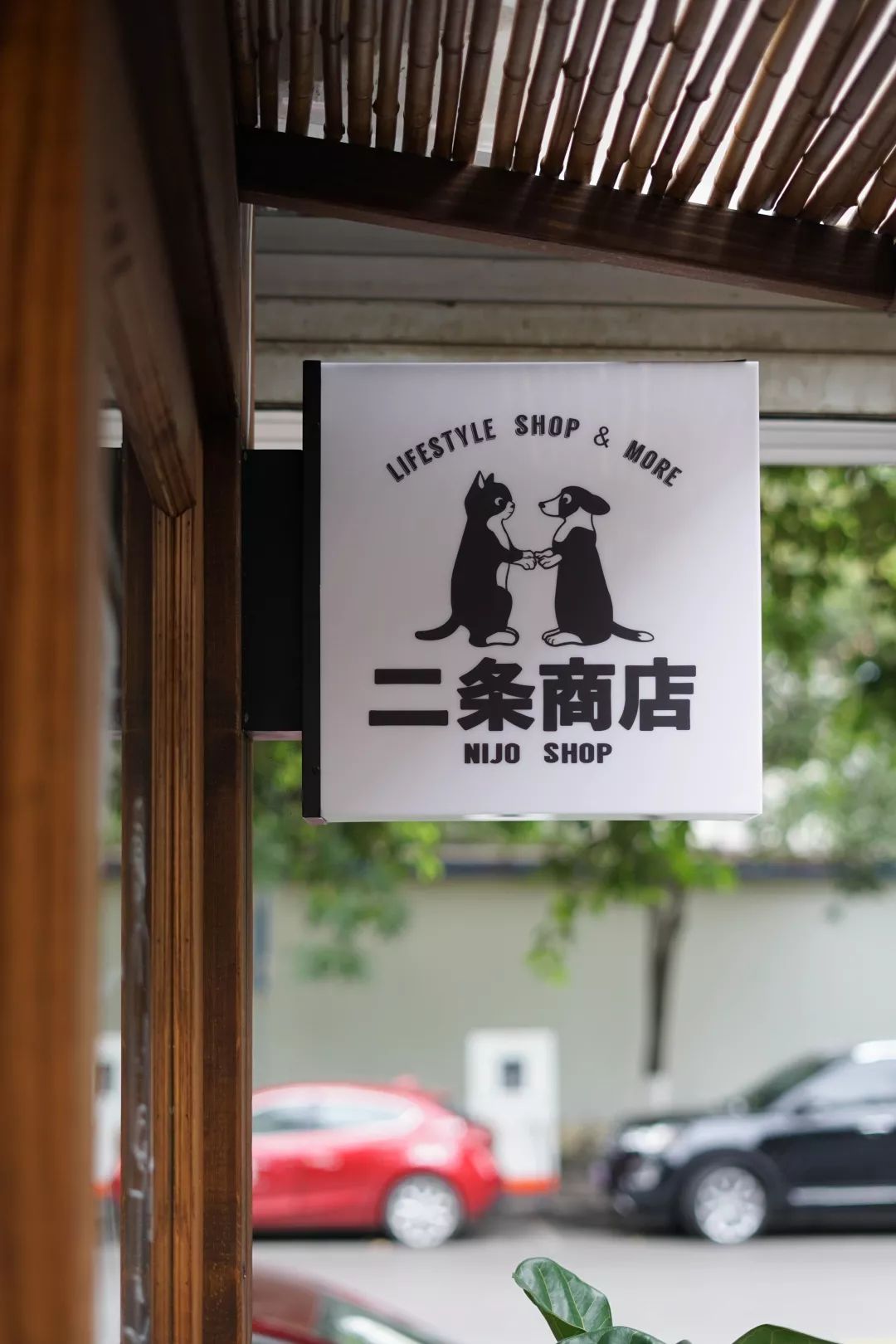 十二月南京一日游攻略,十二月的南京很温暖