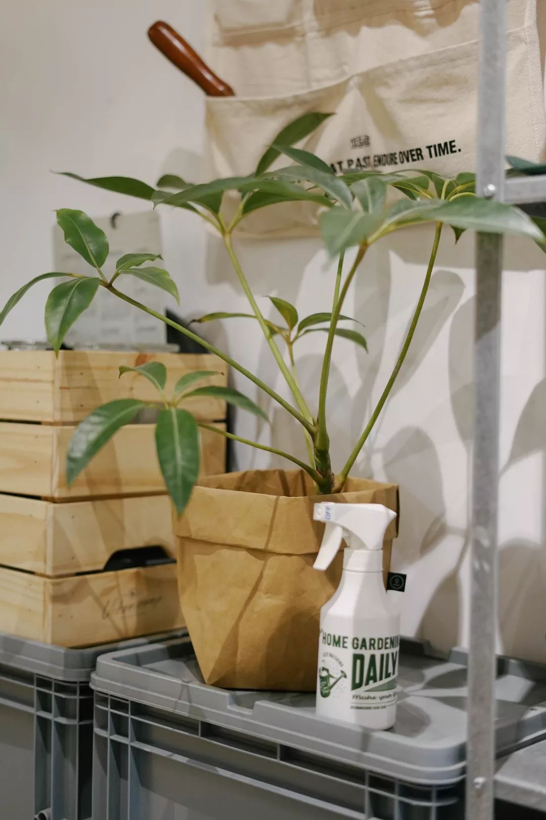 十二月南京一日游攻略,十二月的南京很温暖