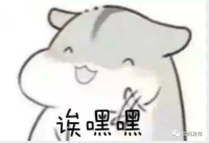 鎴戠埍閽﹀窞缃戠粶浣滃搧澶ц禌,閽﹀窞缃戠粶鏂囧澶ц禌