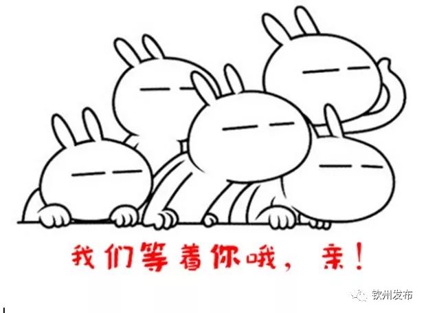 鎴戠埍閽﹀窞缃戠粶浣滃搧澶ц禌,閽﹀窞缃戠粶鏂囧澶ц禌