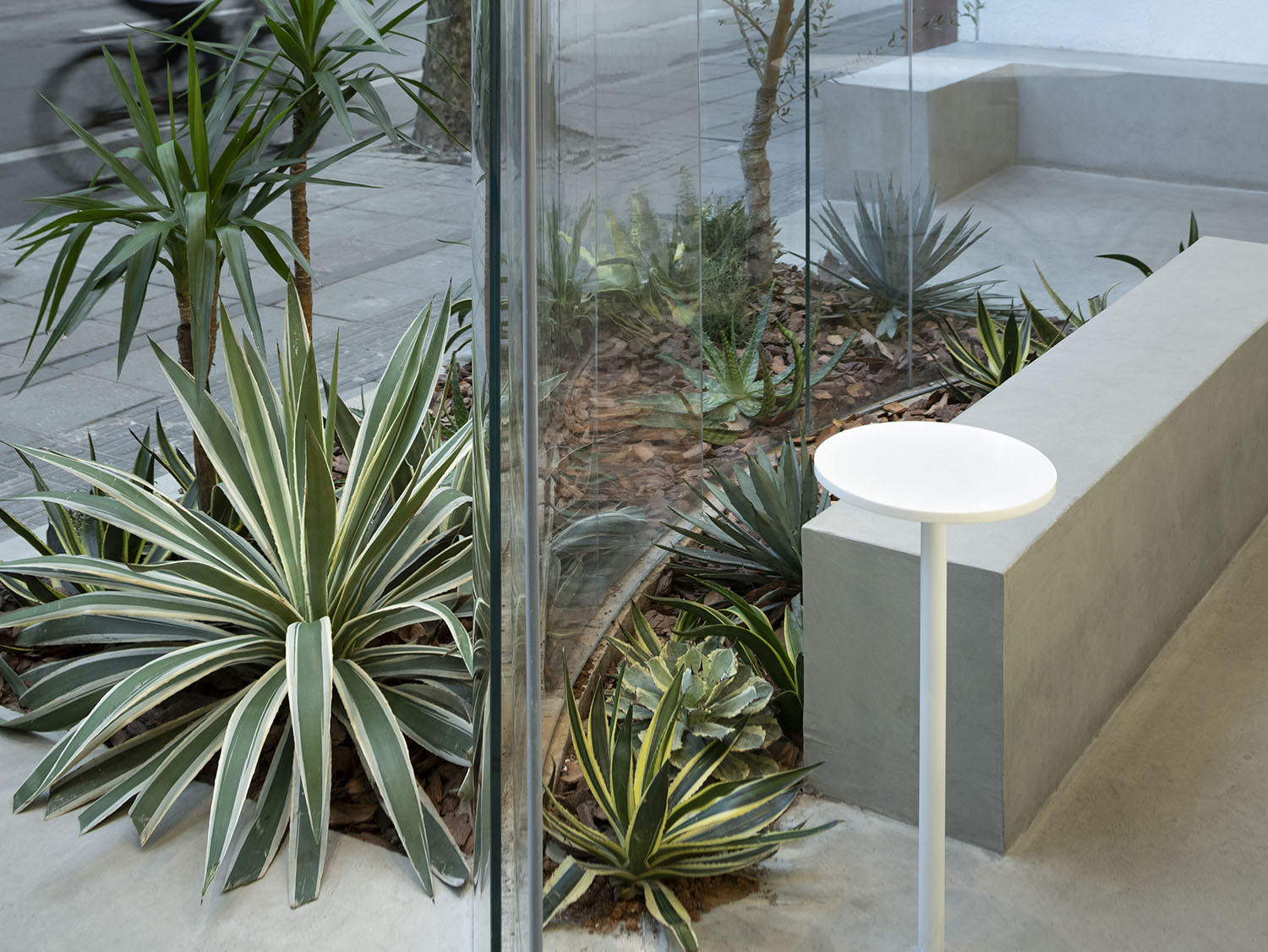 青山周平广州设计周,青山周平blue工作室