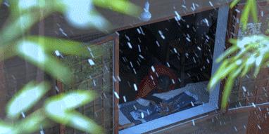 央视评李子柒走红的原因,李子柒被赞视频