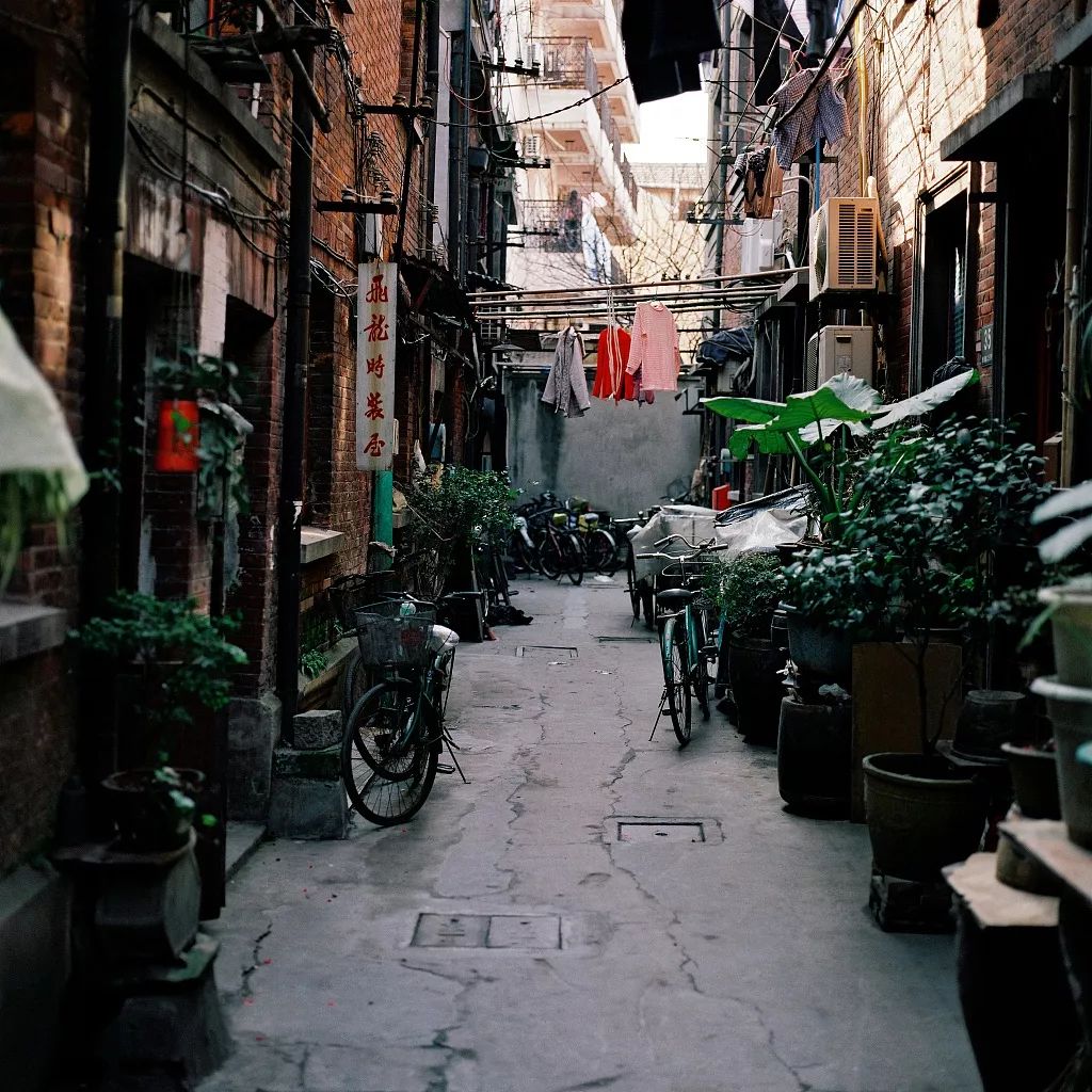 夜话丨柯灵:你还记得小时候家门口的巷弄吗?