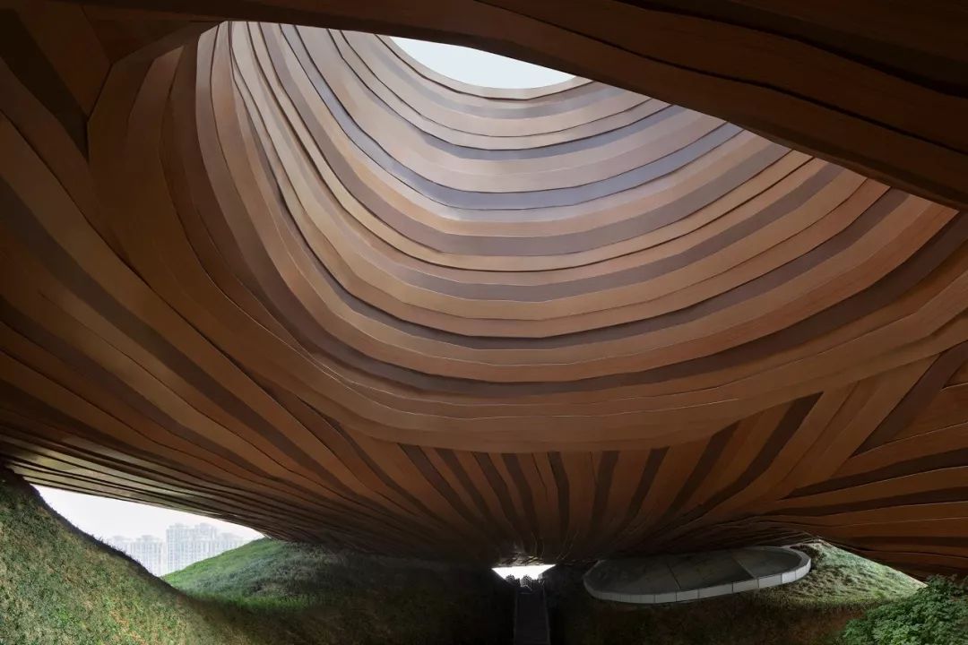 倪妮泳装“湿身”撩人；陈冠希“炒鞋”引群架；无印良品搞装修