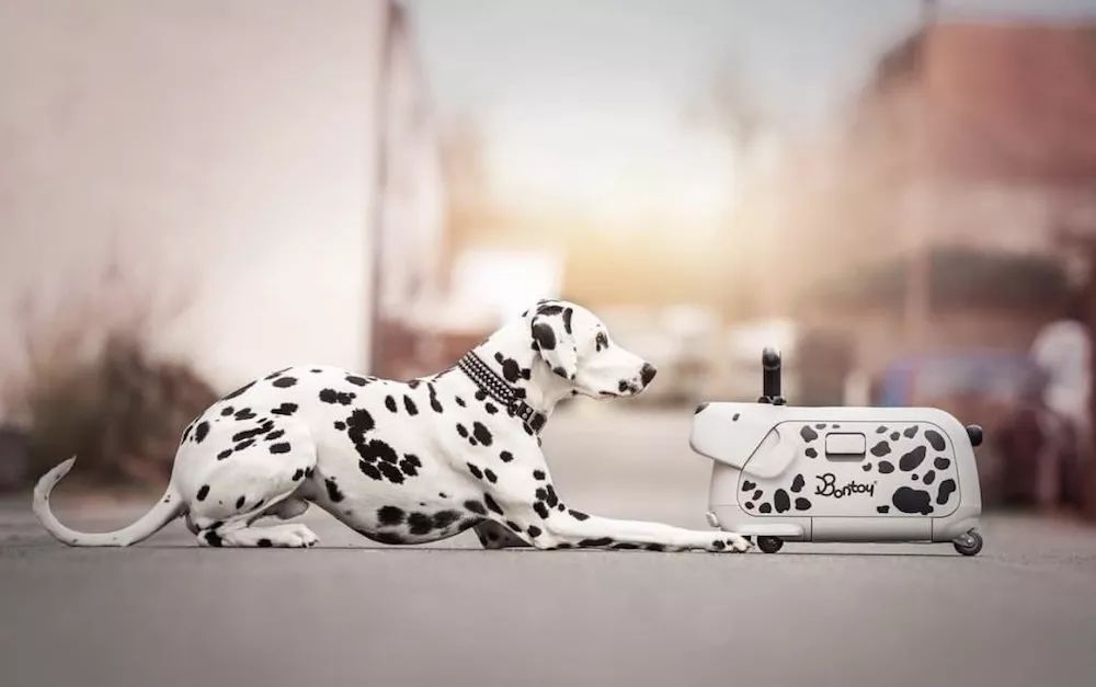 2020愿望清单｜多陪陪孩子