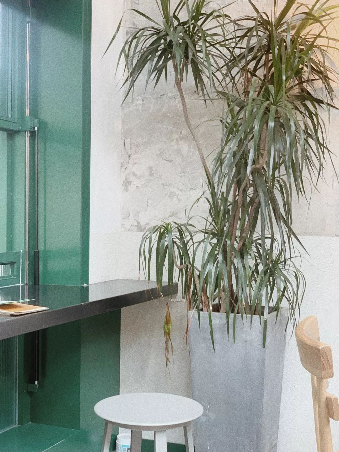 上海冬日最冷气温,上海冬日最冷温度