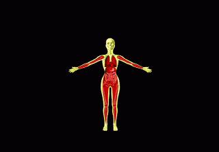 会长胖的人会得什么病,会长胖说明身体在变好吗