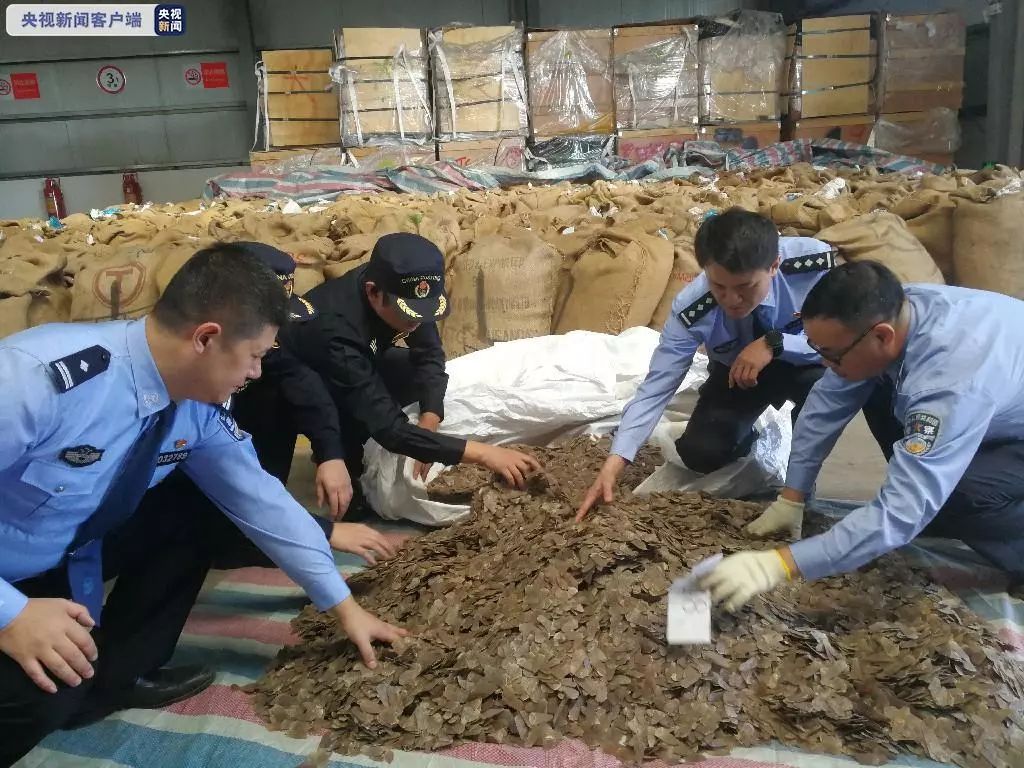 这东西成本80块，售价高达800!现场触目惊心......