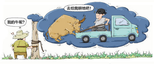 男子与朋友想租地种胡萝卜偷走路边一头正在吃草的牛