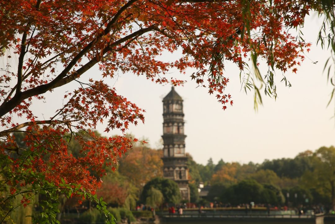 义乌最美的风景区是哪,义乌佛堂网红打卡地