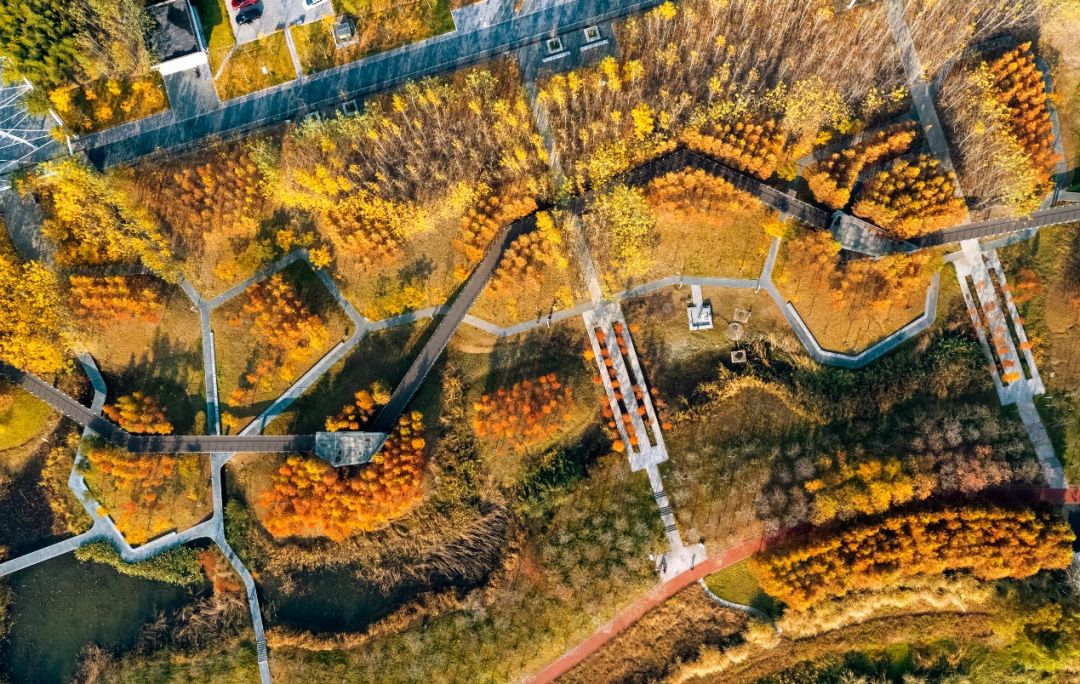 义乌最美的风景区是哪,义乌佛堂网红打卡地