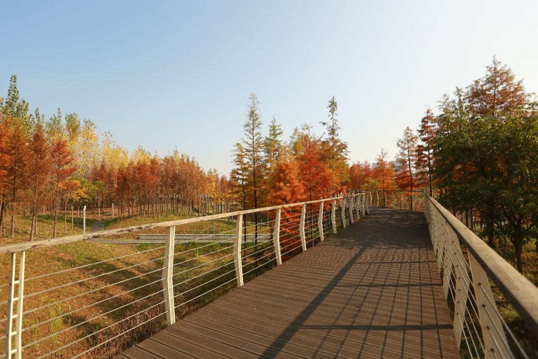 义乌最美的风景区是哪,义乌佛堂网红打卡地