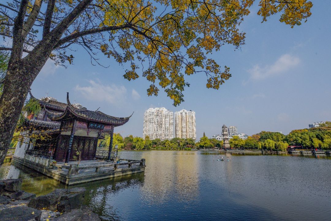 义乌最美的风景区是哪,义乌佛堂网红打卡地