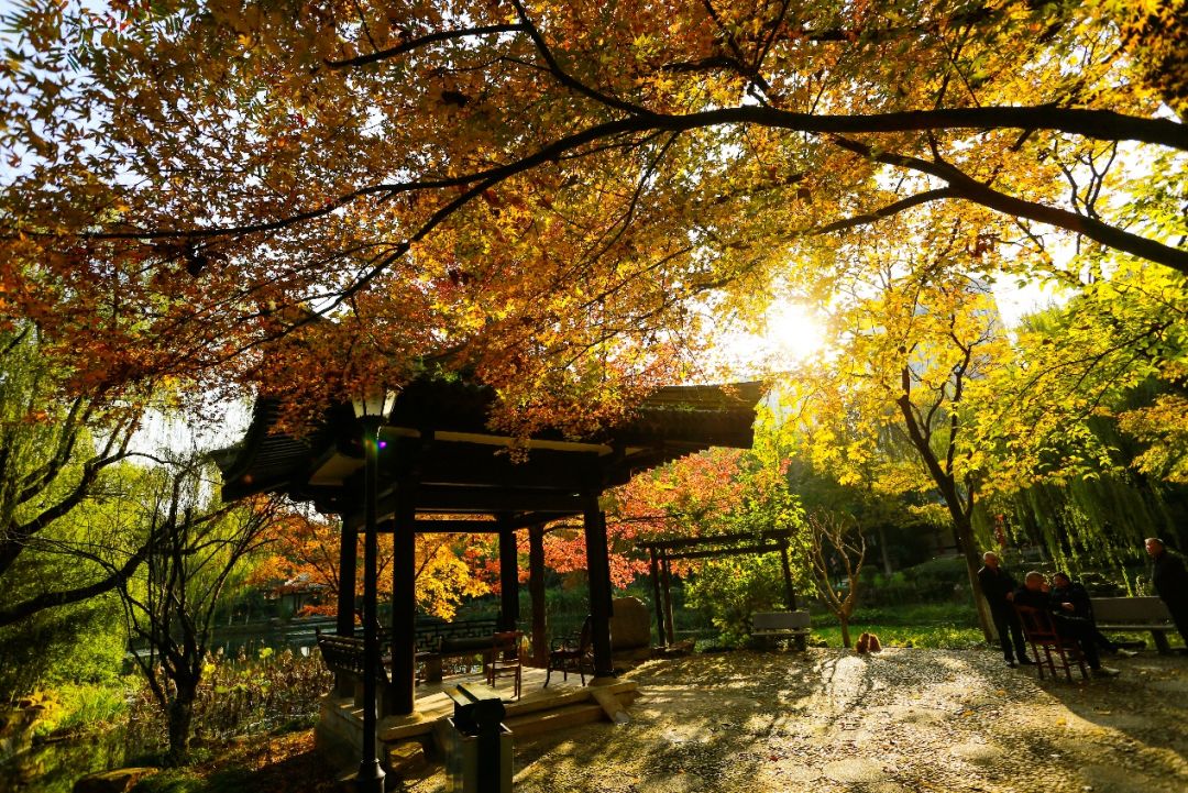 义乌最美的风景区是哪,义乌佛堂网红打卡地