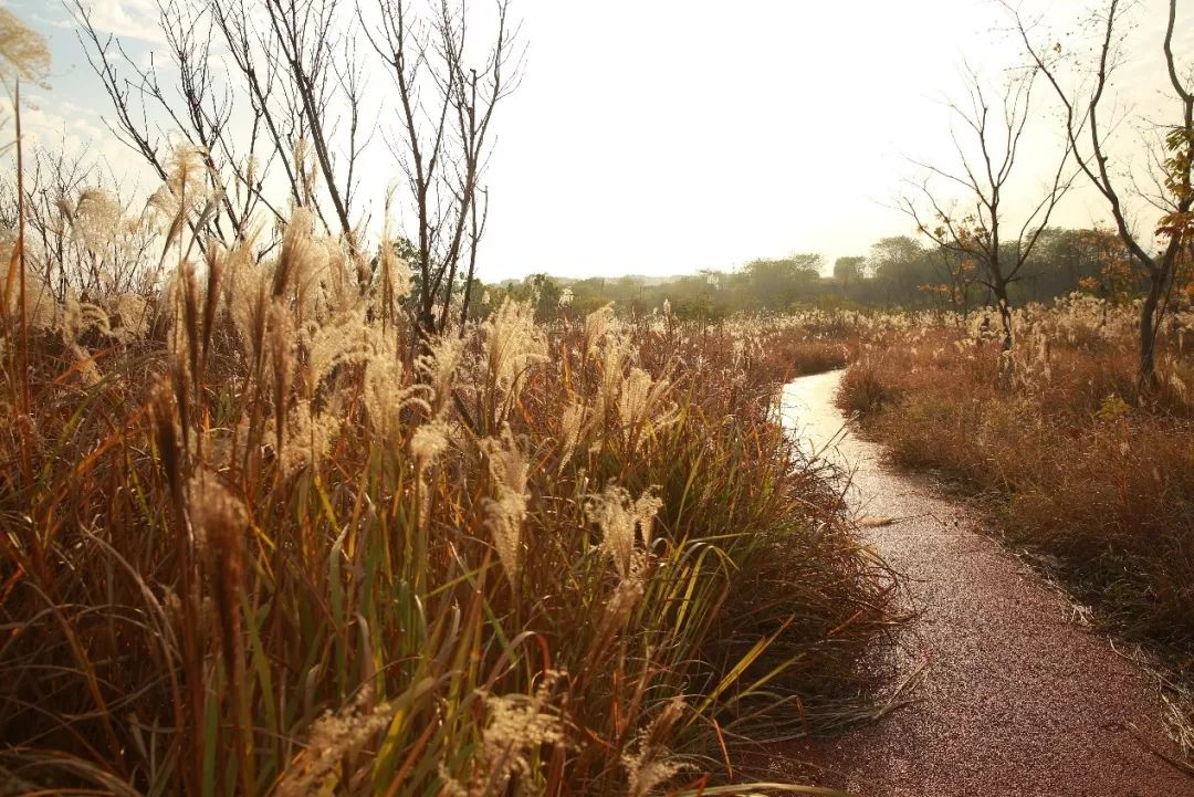 义乌最美的风景区是哪,义乌佛堂网红打卡地