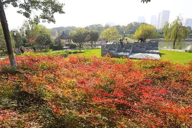 义乌最美的风景区是哪,义乌佛堂网红打卡地